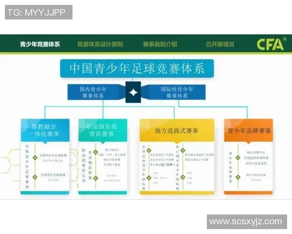 中国足球改革新篇章中央政策助力足球事业发展与青训体系建设